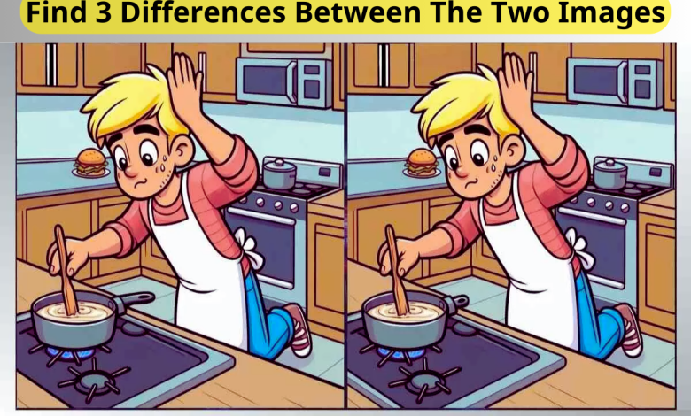 Spot 3 Differences Between Pot Stirring Pictures in 60 Seconds