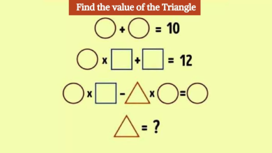 Individuals With High IQ Can Find The Value Of The Triangle In 10 Seconds. Are You One Of Them?