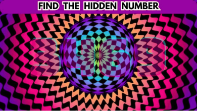 Test Your Visual Prowess By Finding The Hidden Number In This Image In 10 Secs