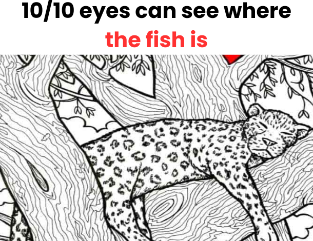 1010 eyes can see where the fish is e1723275939414