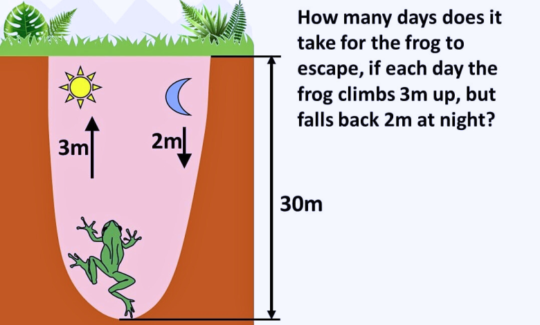 A Frog Has Fallen Into A Pit That Is 30m Deep