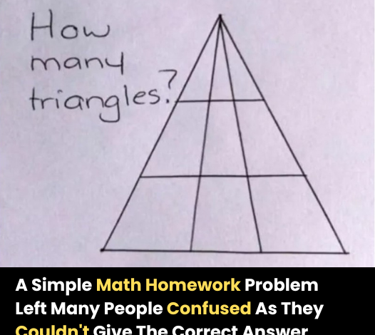 A Simple Math Homework Problem Left Many People Confused As They Couldnt Give The Correct Answer