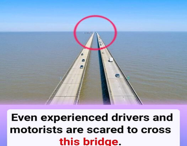 Even Experienced Drivers And Motorists Are Scared To Cross This Bridge