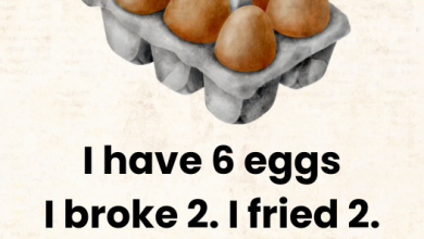 I have 6 eggs I broke 2. I fried 2. I eat 2. How many were left 99 will fail e1723536052152