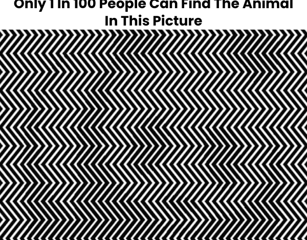 Only 1 In 100 People Can Find The Animal In This Picture 1