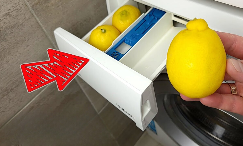 Put 2 Lemons In The Washing Machine Tank