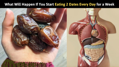 What Will Happen If You Start Eating 2 Dates Every Day for a Week