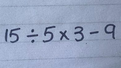 459652112 1091550829638847 4850328408719847173 n