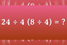 460993099 938546668300890 7016181591304610033 n