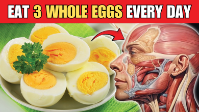 Eat 3 Whole Eggs Every Day 1