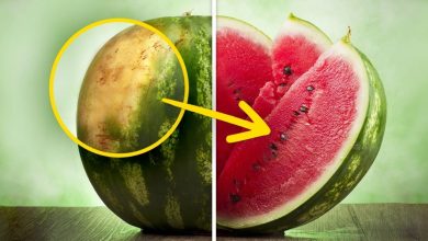 How To Pick A Perfect Watermelon Tips From An Experienced Farmer