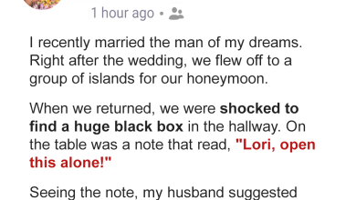 I Returned from My Honeymoon and Found a Huge Black Box in My Hallway e1726277742821