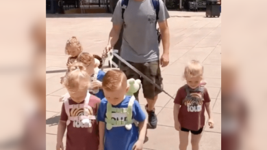 Kentucky Dad of Quintuplets Shamed for Walking His Kids on a Leash