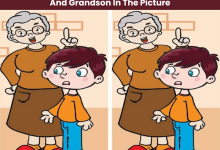 Spot The Difference Between The Grandmother And Grandson In The Picture