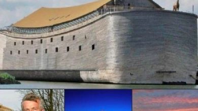 The Replica Of Noahs Art One Contractor Builds An Immense Ark And Attracts Tourists Worldwide