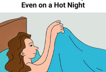 Why We Cant Sleep Without a Blanket Even on a Hot Night