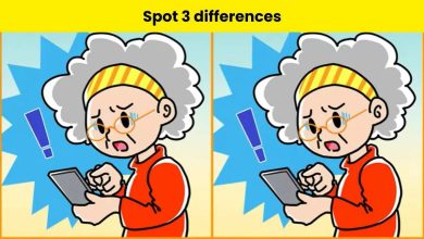 spot 3 differences in granny usi