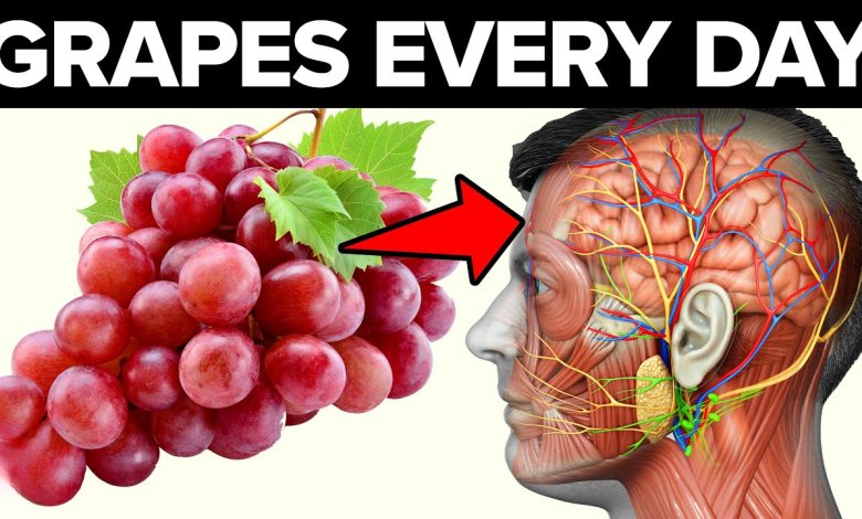 Eat Grapes Every Day See What Happens To Your Body2