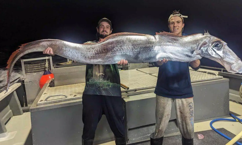 Fishermen Catch Terrifying