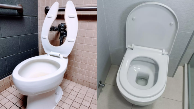 Mystery Over Why Some Toilet Seats Have Open Fronts Has Been Solved