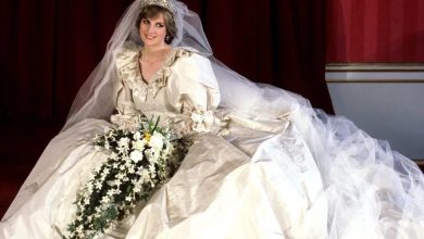 Princess Diana Wedding Dress Fea