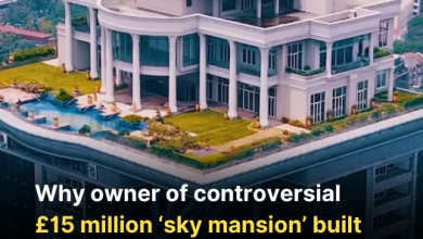 Why owner of controversial 15 million ‘sky mansion built on top of skyscraper might never get to live in it 1